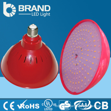 new product new china supplier led cafe light